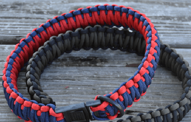 How To Make a Paracord Dog Collar | Cool Paracord Projects