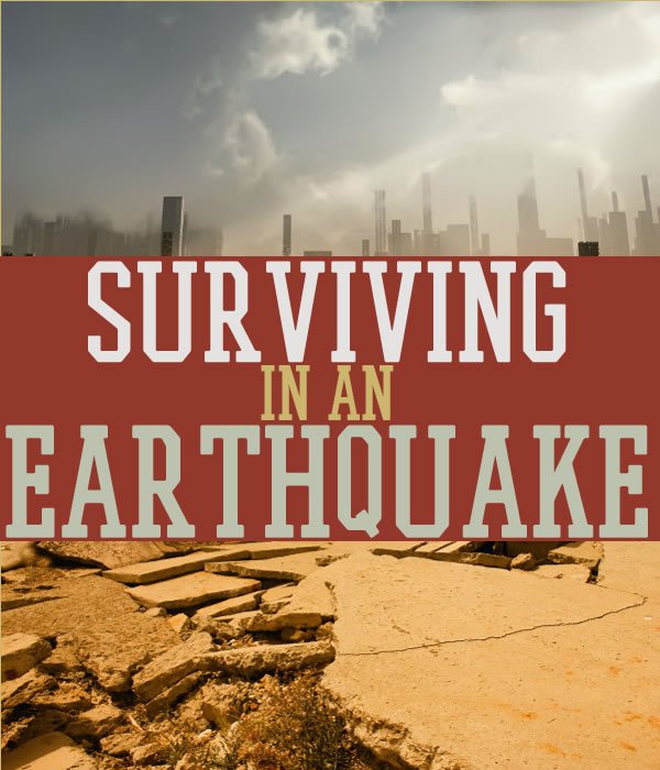 Surviving In An Earthquake Survival Life