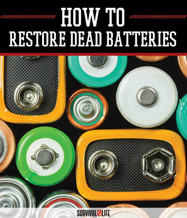 Bring Dead Ni-cad Batteries Back to Life - Survival Life | Blog
