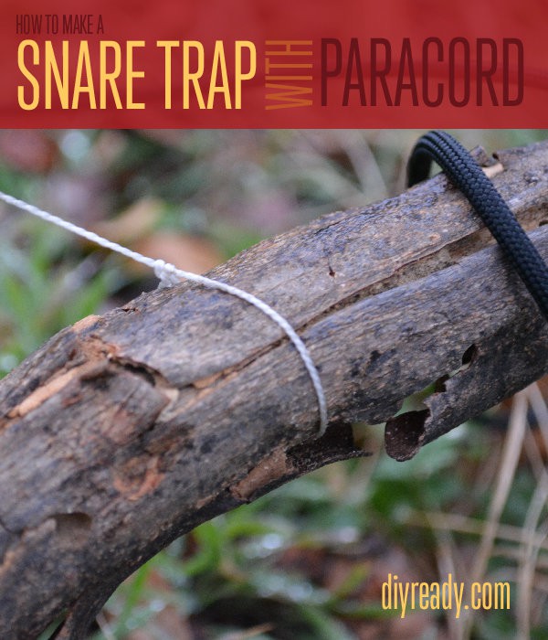 How to Make a Snare Trap | Paracord: Everything You'll Ever Need to Know