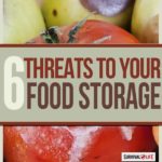 6 Threats to Your Food Storage Cache by Survival Life at http://survivallife.com/2015/03/31/6-threats-to-your-food-storage/