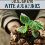 Make A (Nearly) Self-Sufficient Indoor Garden With Aquaponics by Survival Life at http://survivallife.com/2015/04/30/aquaponics-indoor-garden/