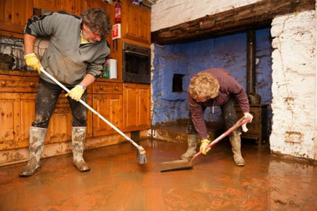  Disinfect Everything | How To Survive Before, During, And After A Flood