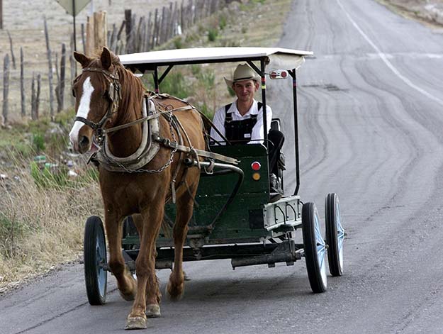 The Mennonites are devoted to a simple, sustainable off the grid lifestyle. Read more at http://survivallife.com/2015/10/05/off-the-grid-straw-and-ice/