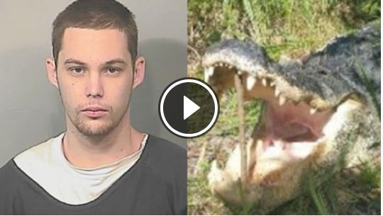 alligator-eats-burglary-suspect