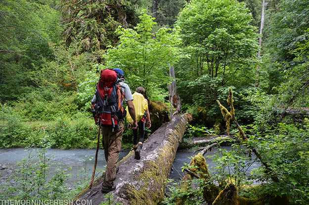 olympic-national-park-hiking