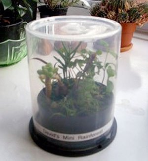CD case greenhouse