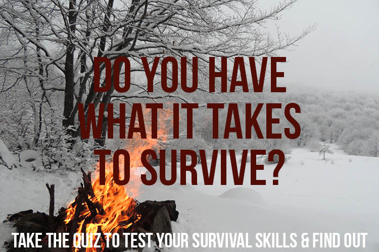 wilderness survival quiz