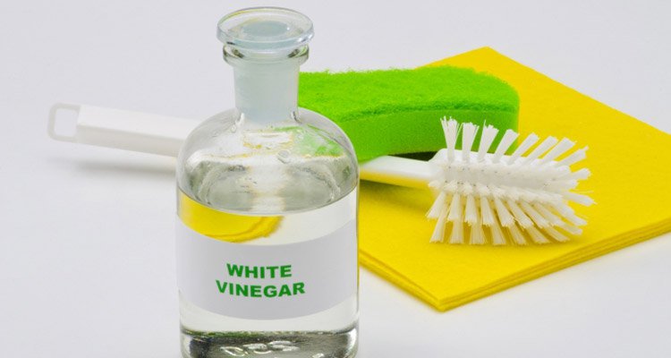 cleaning with vinegar
