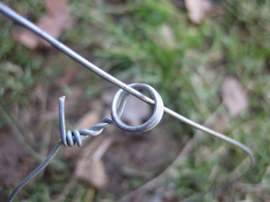 spring snare wire