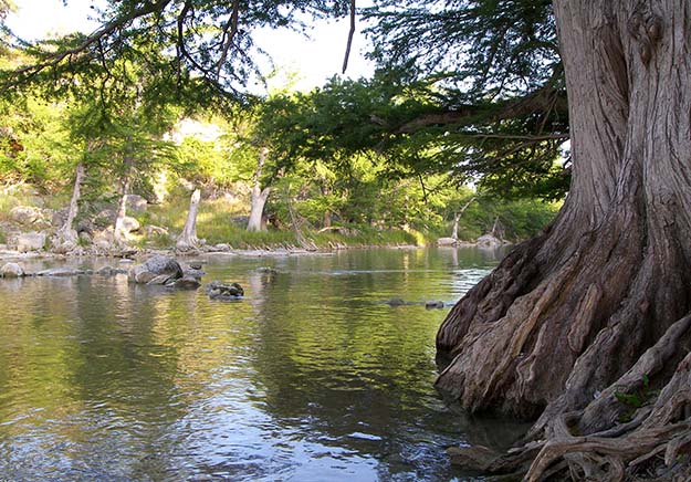 camping at guadalupe river state park