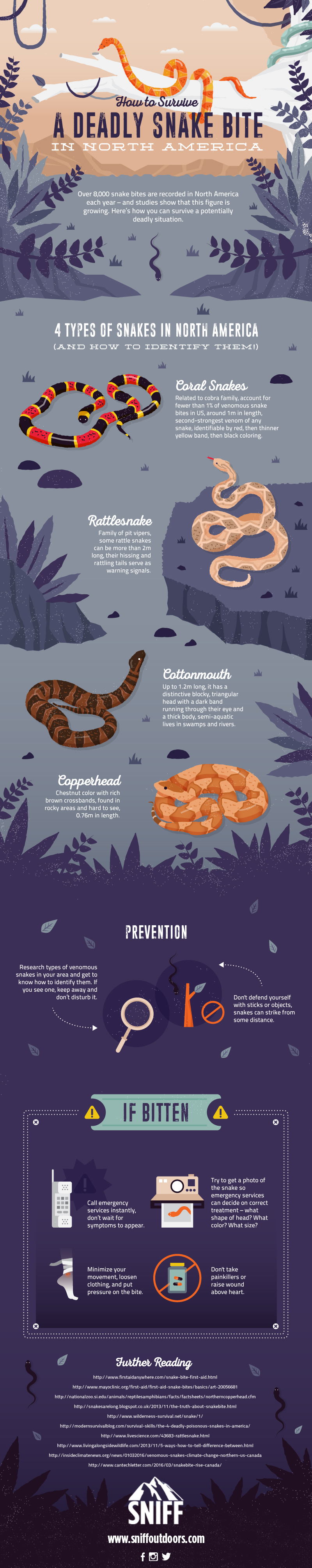 Snake Bites Guide
