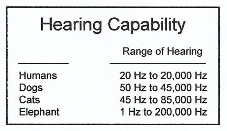 A chart comparing the hearing capabilities of humans, dogs, cats and elephants.