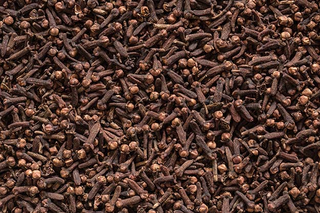 Cloves have an aroma that is pleasant to humans but  a deterrent for insects.