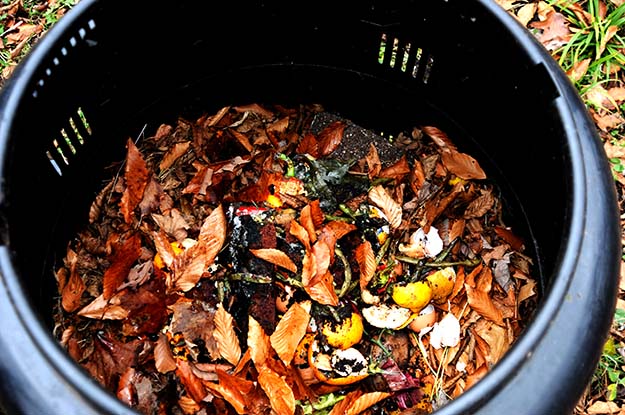 Close-up view of a composter full of leaves, soil, fruit and other mulch.