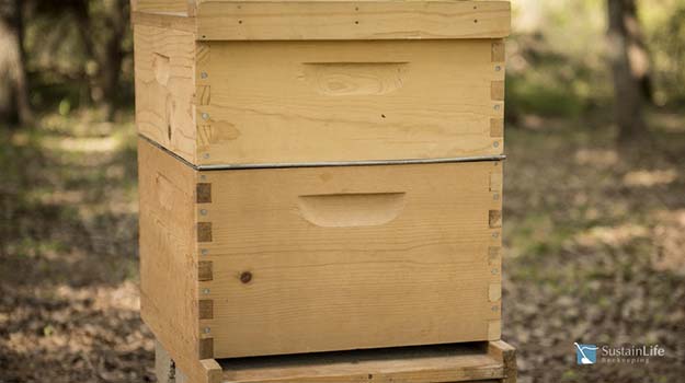 A wooden langstroth bee hive