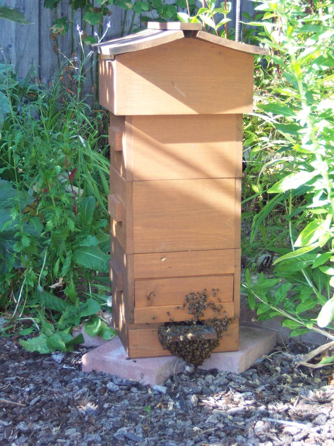 A small wooden Warre bee hive in a garden