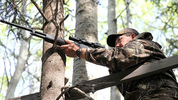 Arkansas Hunting Laws Legal Methods