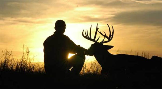 Deer Hunting Season | Connecticut Hunting Laws and Regulations
