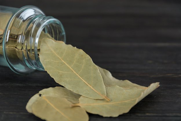bay-leaves 9 Ways to Repel Rats Naturally For A Rodent-Free Fall
