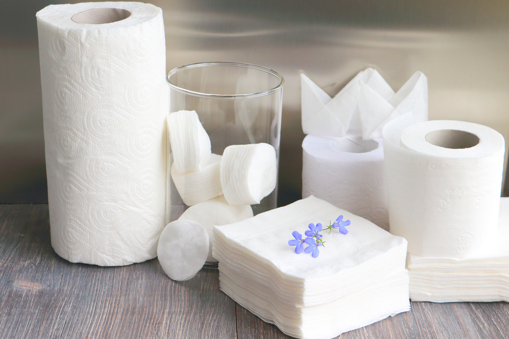 paper products toilet paper alternative