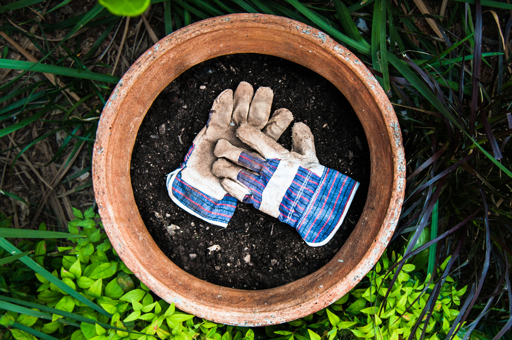 Gardening Gloves | Gardening Hand Tools You Should Have