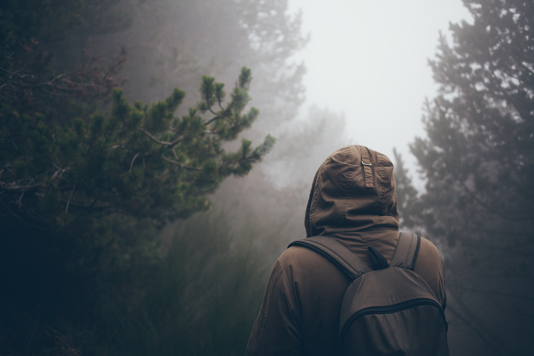 The Do's and Don'ts of Getting Lost in the Wilderness | Survival Life