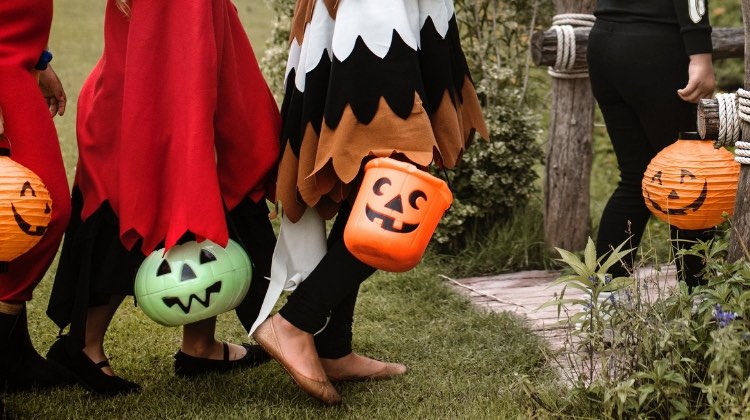 Feature | Halloween is over… Now what to do with all this candy?