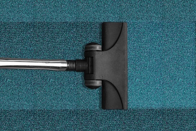 Remove urine stains from carpet.