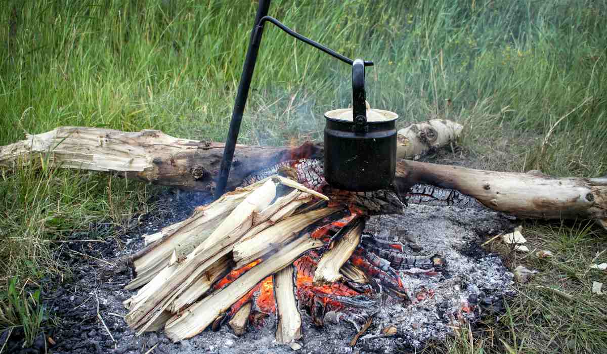 Firewood to boil water | Top Survival Skills 