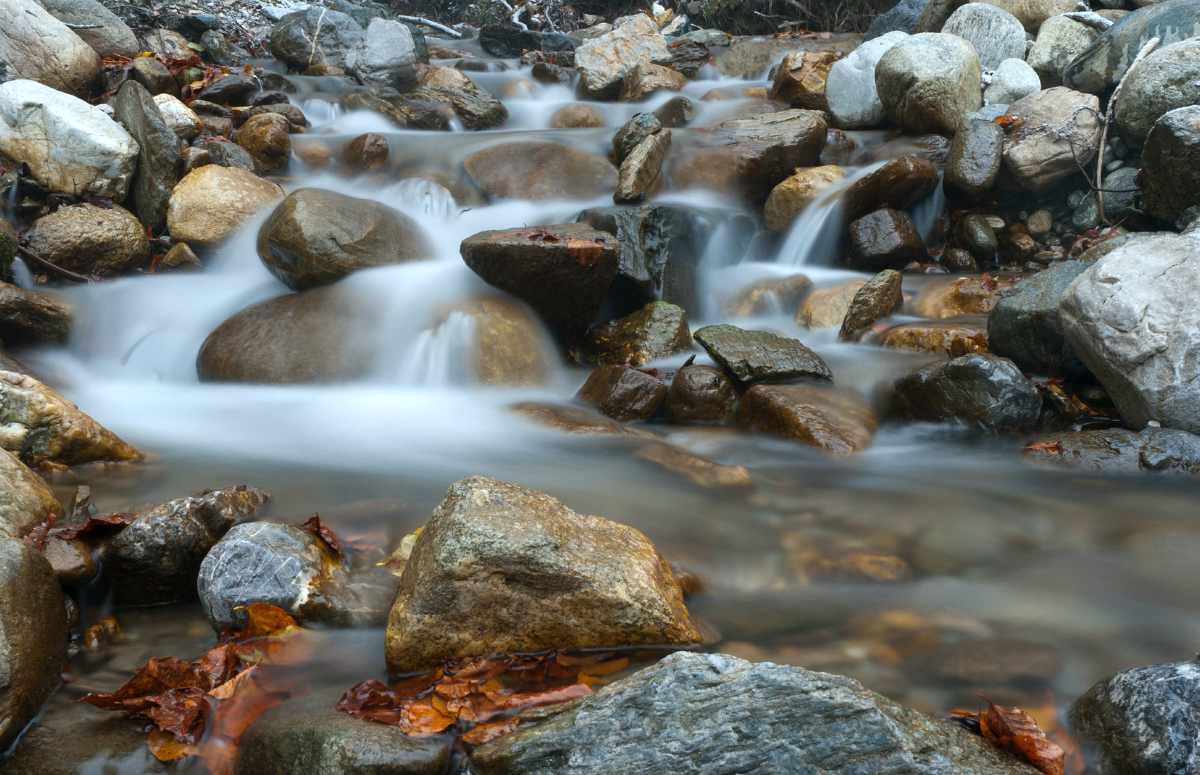 River stream | Top Survival Skills 