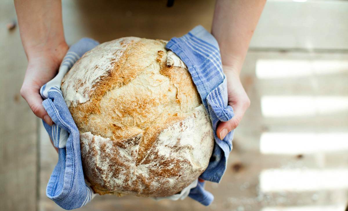 Person holding baked bread covered with towel | Your Road Map To Self Sufficiency