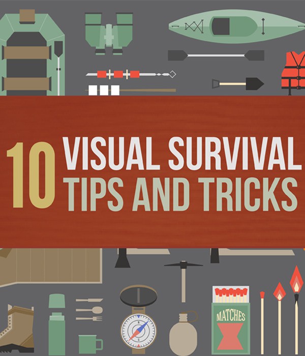 10-Visual-Survival