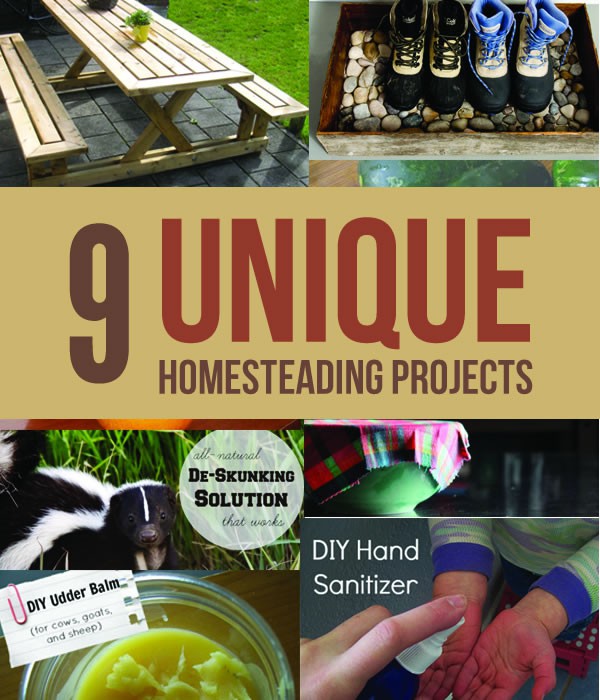 diy-homesteading-projects