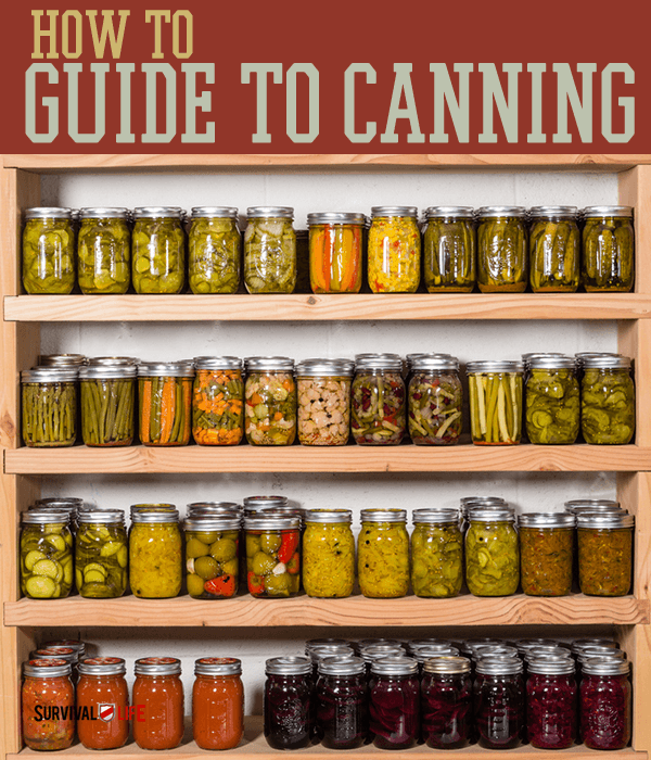 Canning Jar | How To Guide To Canning | https://survivallife.com/canning-jar-guide/