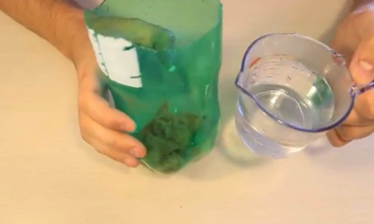 pour water in bottle | Homemade Mosquito Trap Instructions | Summer-Ready Your Preps | homemade mosquito trap | mosquito soda bottle trap