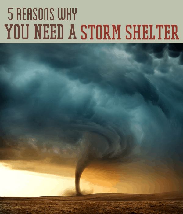 5 Reasons You Need A Storm Shelter in Your Home | Survival Life