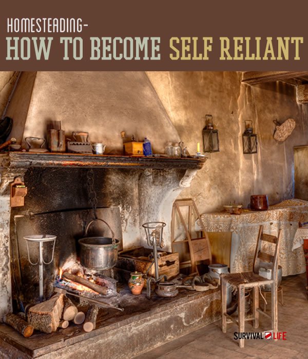 Placard | Homesteading and Sustainability: How To Become Self Reliant