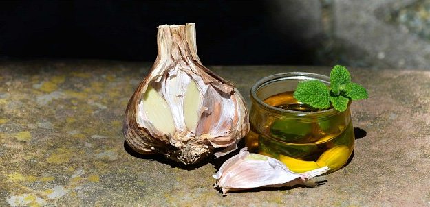 Garlic Oil | The Top Ultimate Medicinal Herbs For Your Bug Out Bag