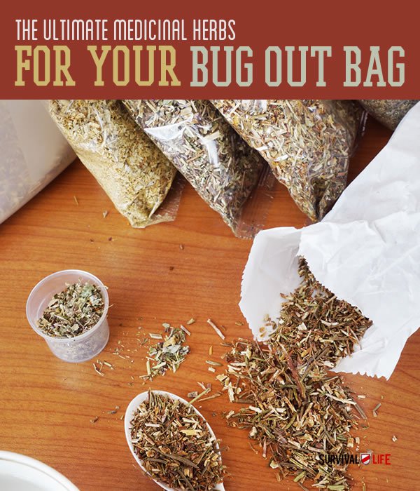 Placard | The Top Ultimate Medicinal Herbs For Your Bug Out Bag