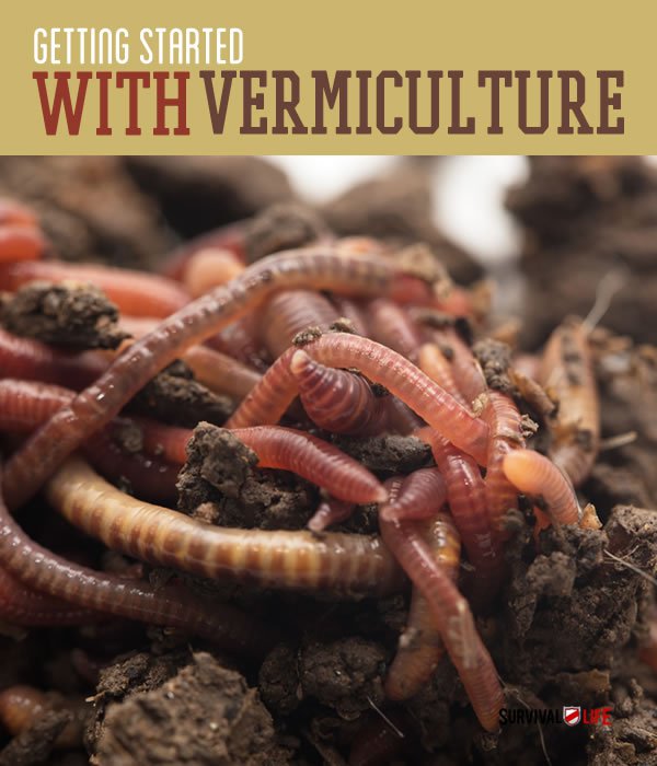 worm-farming