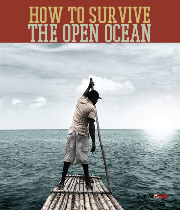Placard | SURVIVAL SKILLS: Could You Survive The Open Ocean?