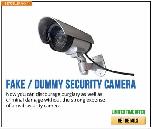 Dummy camera | Tips For Sheltering In Place