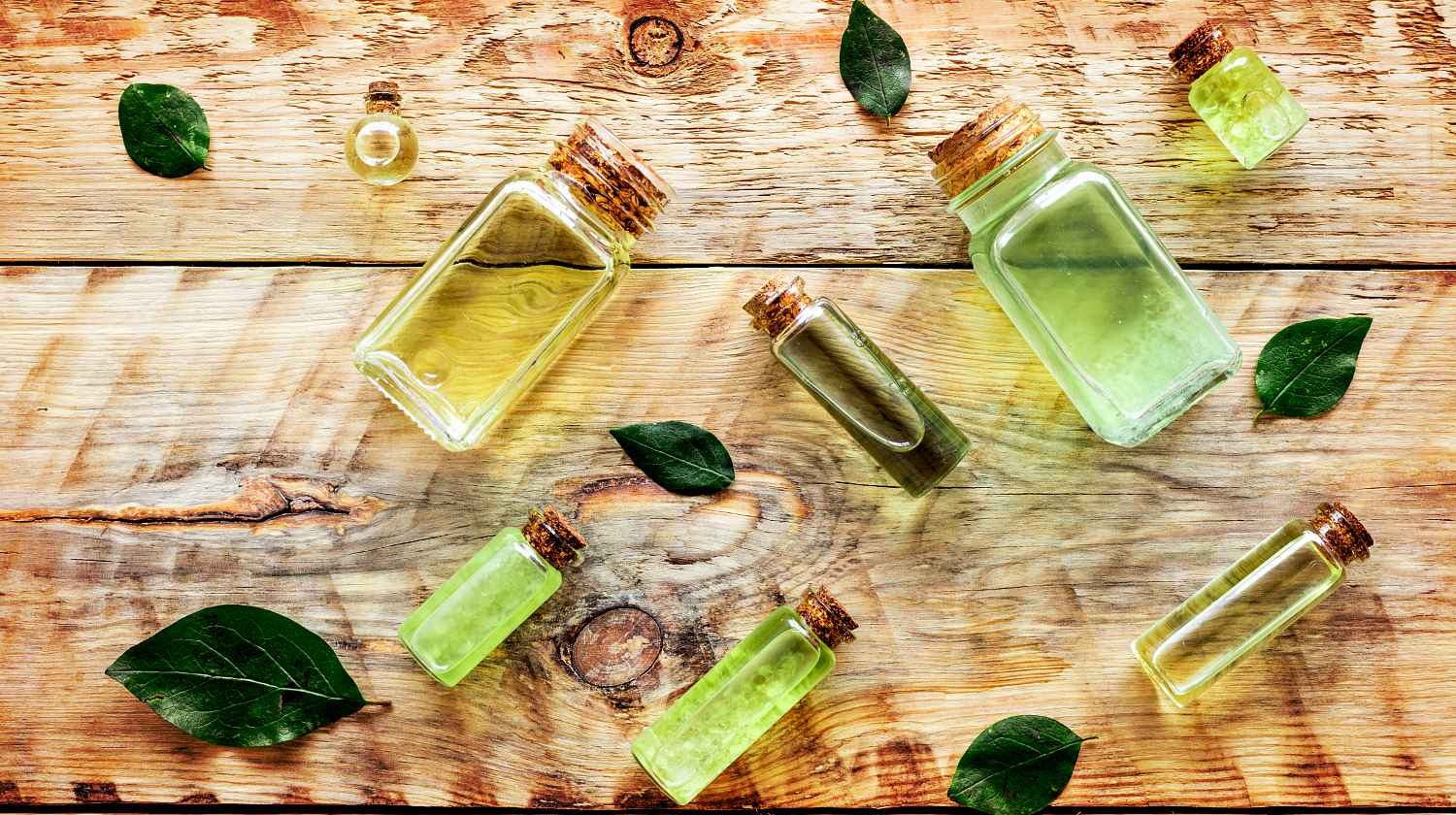 Tea tree oil in bottles on rustic wooden background | Tea Tree Oil Uses | Essential Oils For Survival | Featured