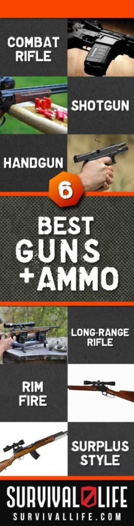 best guns and ammo