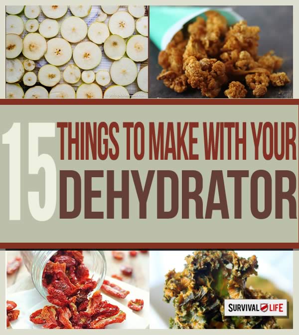dehydrator recipes, dehydrated fruit, dehydrated meat, healthy recipes, dehydrated foods