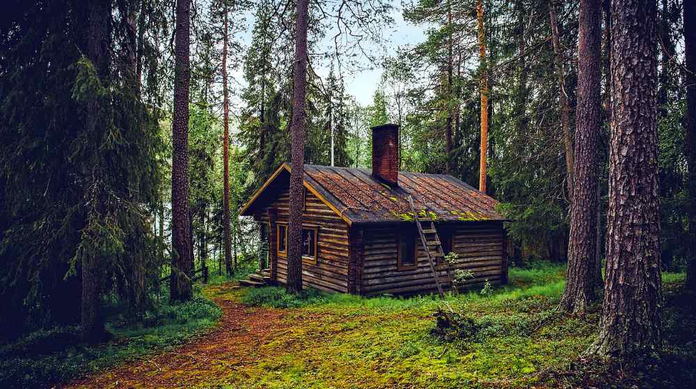 Feature | Bug Out Cabin Tips | How To Build The Ultimate Survival Shelter