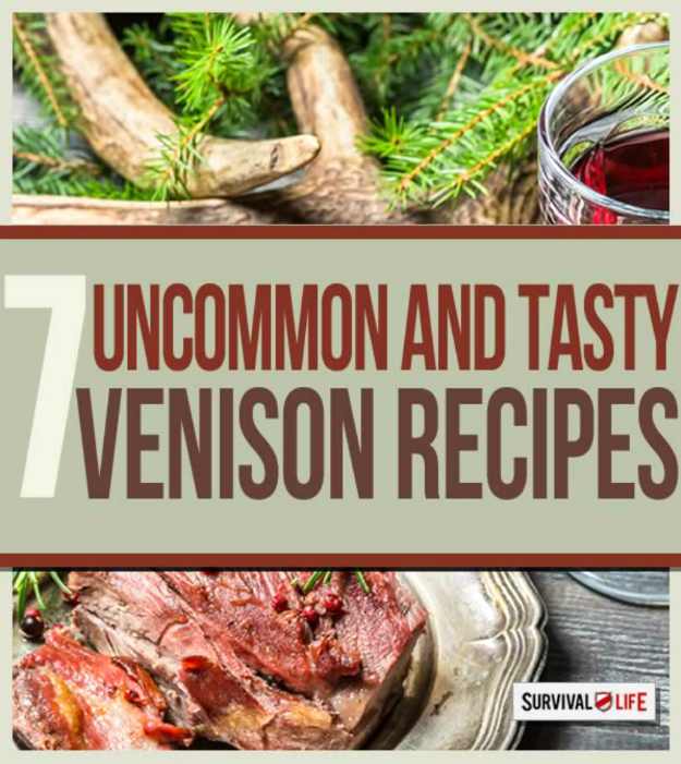 Uncommon And Tasty Venison Recipes | https://survivallife.com/venison-recipes/