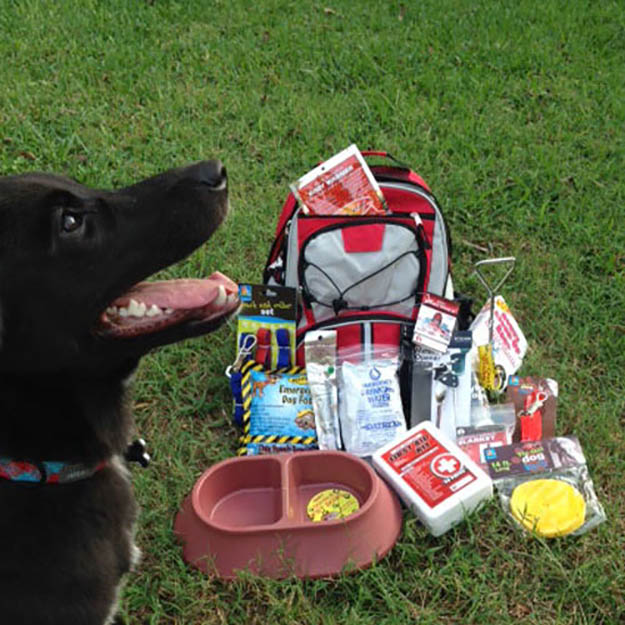 Survival Guardian Dog Kit | Stocking Stuffers for the Preppers in Your Life