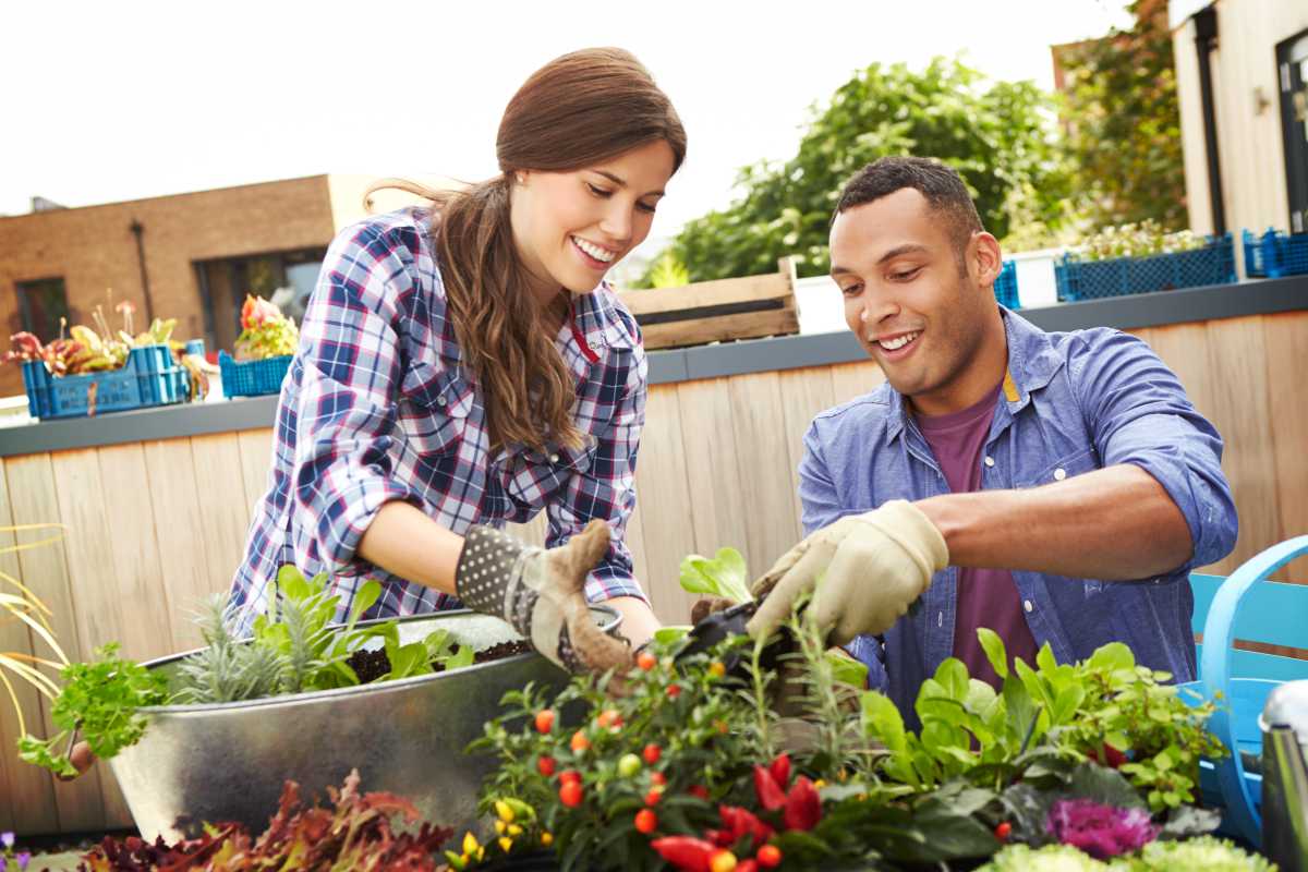 Mixed race couple planting rooftop garden together | Family Preparedness: What Are Your Survival Principles?